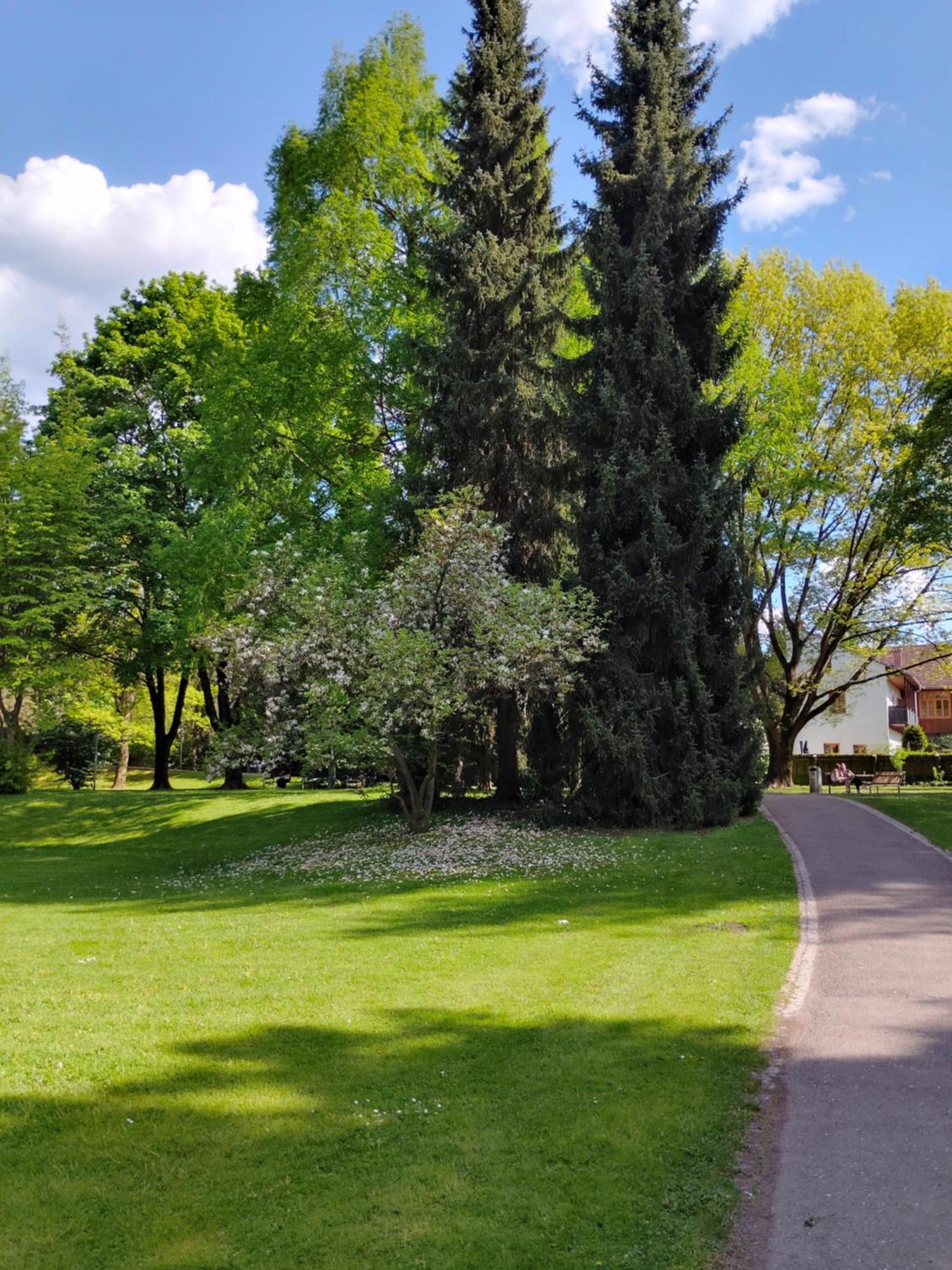 Wohnung In Leoben Zentrum Zwischen Hauptplatz Und Stadtpark Esterno foto